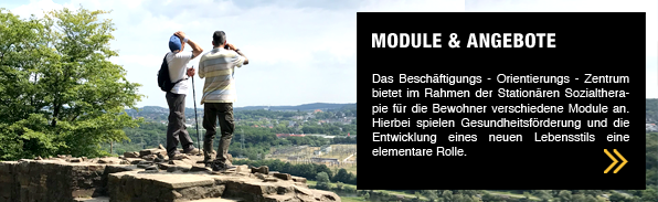 bozteasermodule